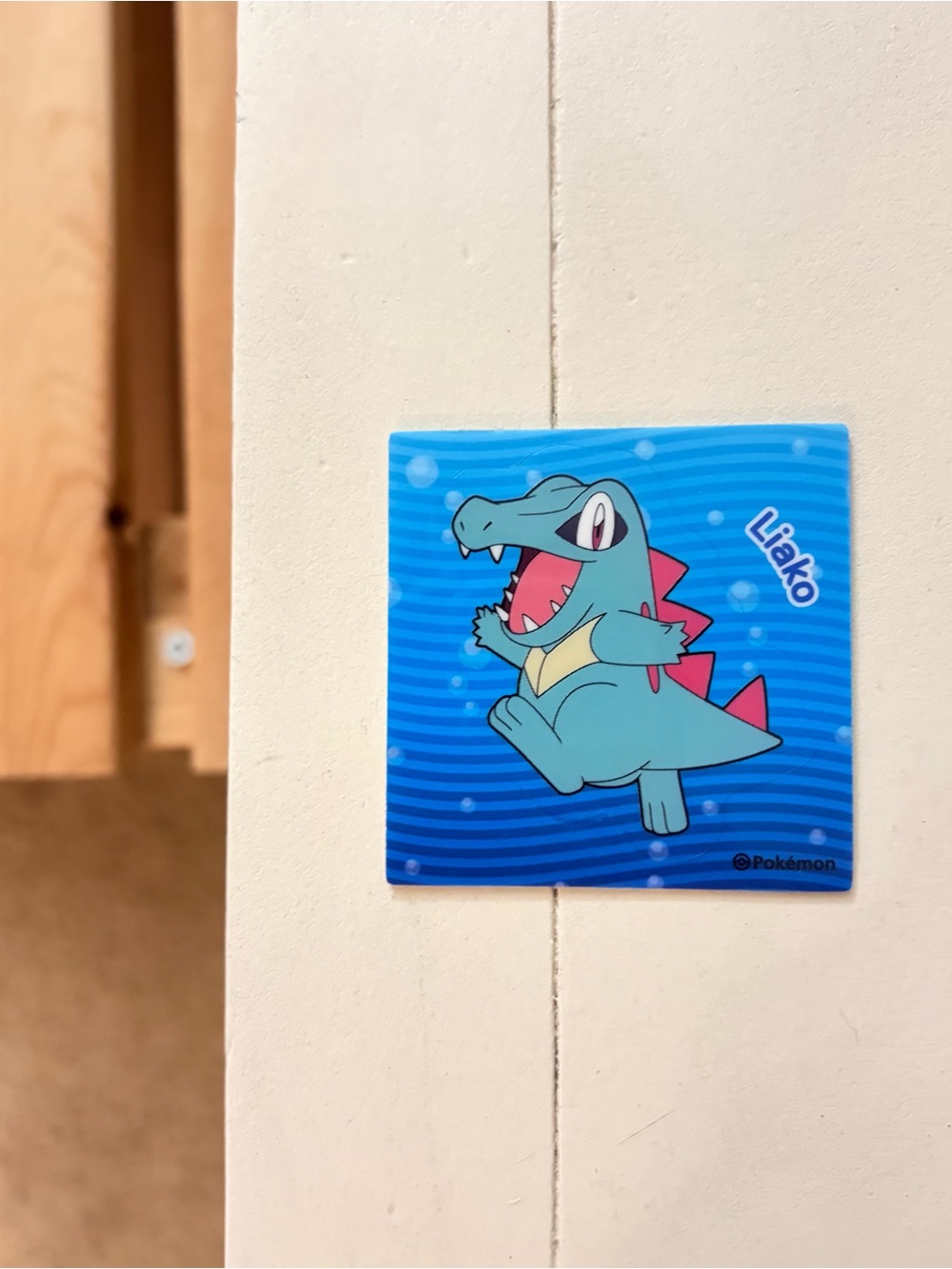 NEW totodile foam sticker